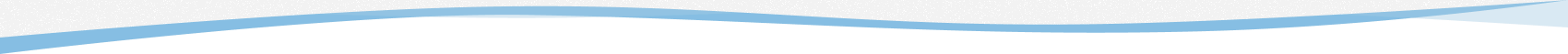 section shape