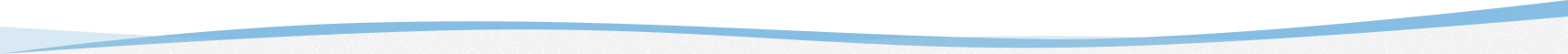 section shape